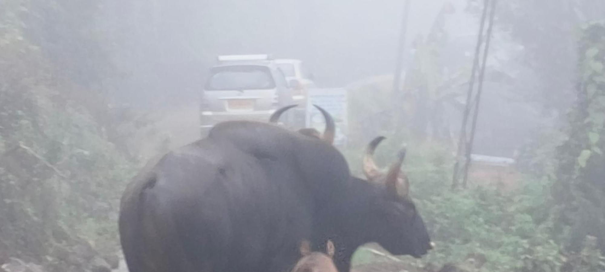 Homestay V.o. Kodaikanal